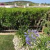 Villetta a Carrabuffas - immagine 25