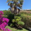 Villetta a Carrabuffas - immagine 4
