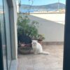 Attico mansardato in zona centrale vista mare - immagine 3